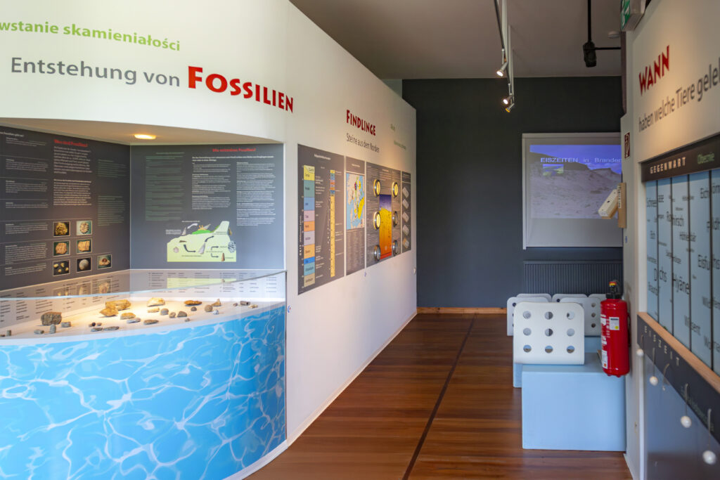 Das Foto zeigt die Ausstellung im Innenbereich.