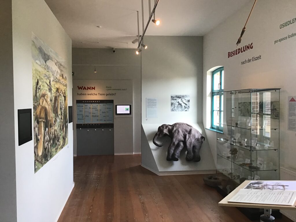 Das Foto zeigt die Ausstellung von innen, auf der rechten Seite stehen Exponate in einer Glasvitrine, auf der linken Seite ist ein gemaltes Bild aus der Eiszeit zu erkennen.